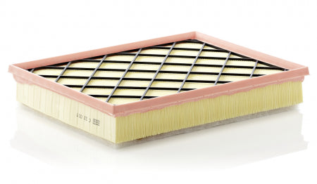 Filtru aer Mann-Filter C 33 001