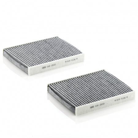 Set filtre habitaclu CA Mann-Filter CUK 2533-2